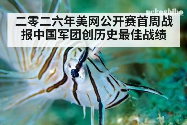 二零二六年美网公开赛首周战报中国军团创历史最佳战绩