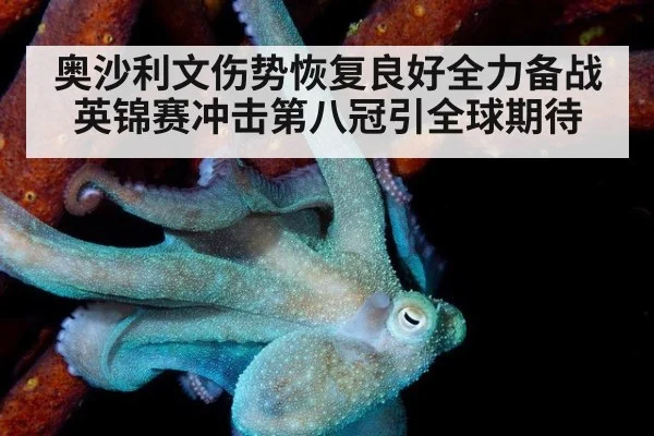 奥沙利文伤势恢复良好全力备战英锦赛冲击第八冠引全球期待